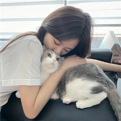 五等分的新娘第二季