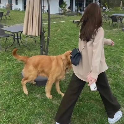 少年有梦